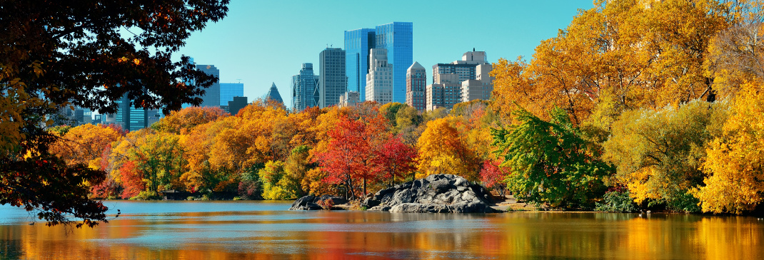 Ein kurzer Leitfaden für New York City